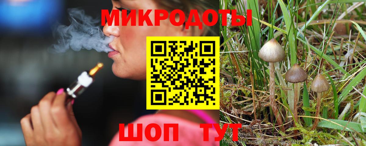 Галлюциногенные грибы прущие грибы  Вход с VPN  Иваново 