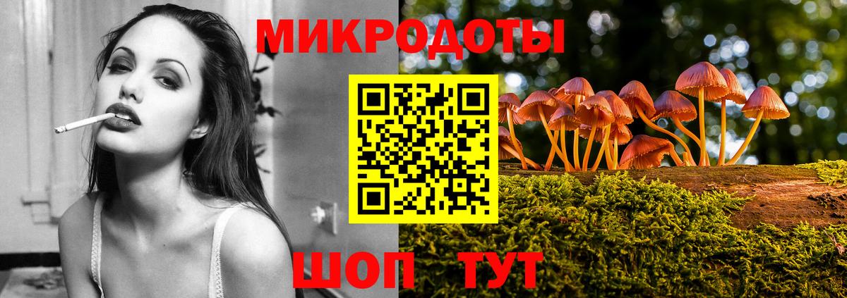 Галлюциногенные грибы Psilocybine cubensis Иваново